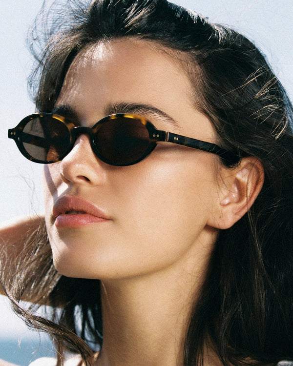 Écailleshell Solaires