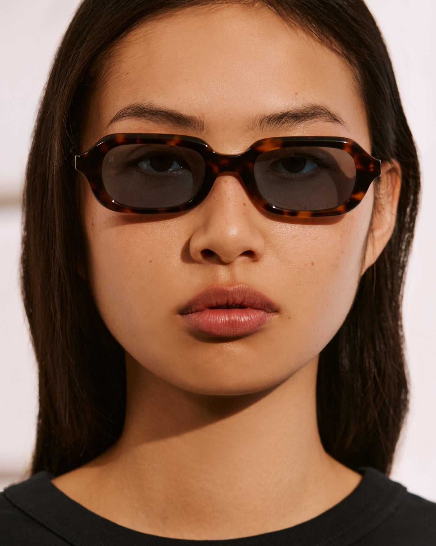 The Ely JF Colors