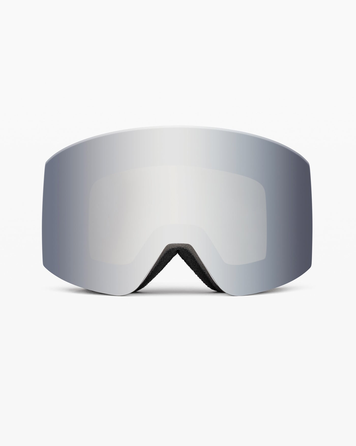 The Ski Goggles 03